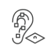 acupuntuta.auricular-2
